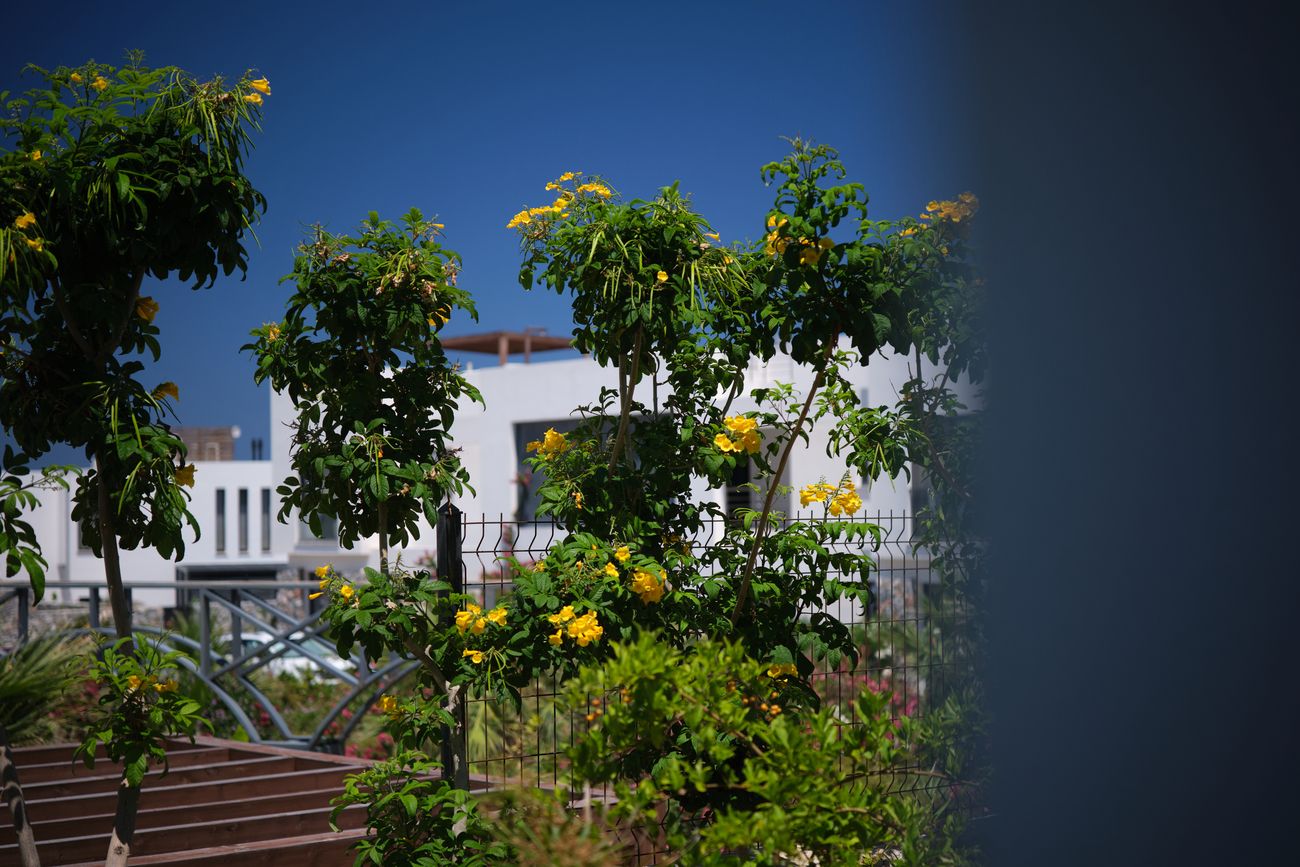 Sunny — zahrada